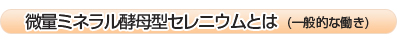 微量ミネラル酵母型セレニウムとは(一般的な働き)